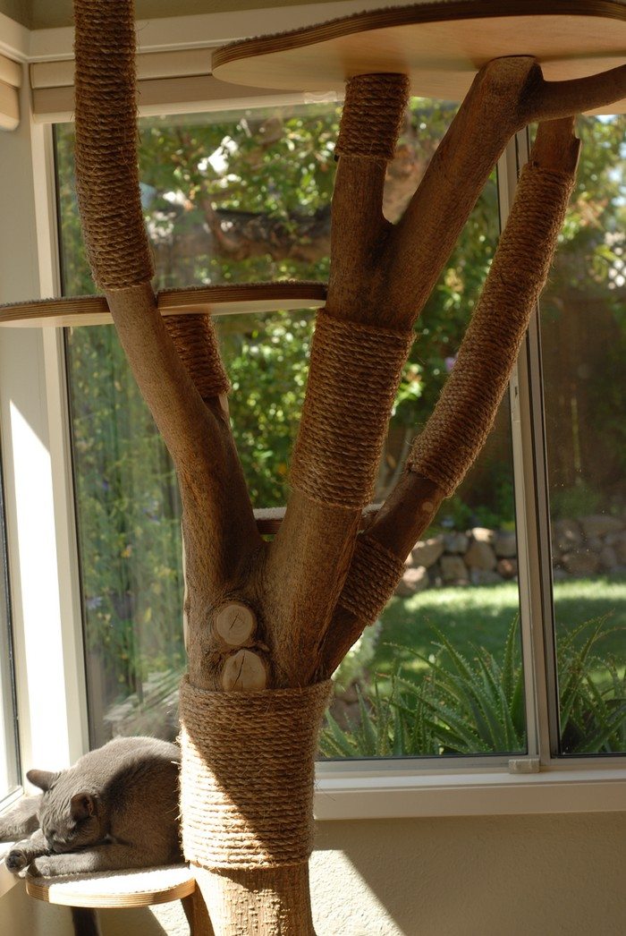 Turn an old tree into a classy cat tower! DIY projects