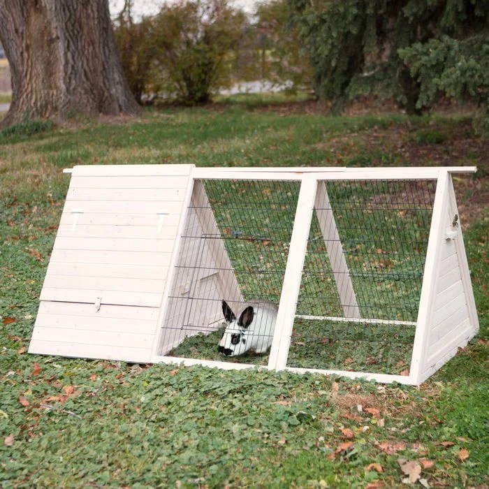 Making a Sturdy DIY Aframe Rabbit Hutch in 6 Steps