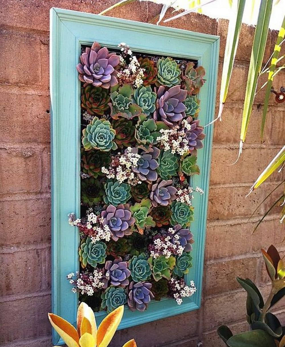 DIY Picture Frame Planter DIY projects for everyone!