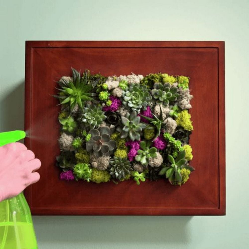 DIY Picture Frame Planter DIY projects for everyone!