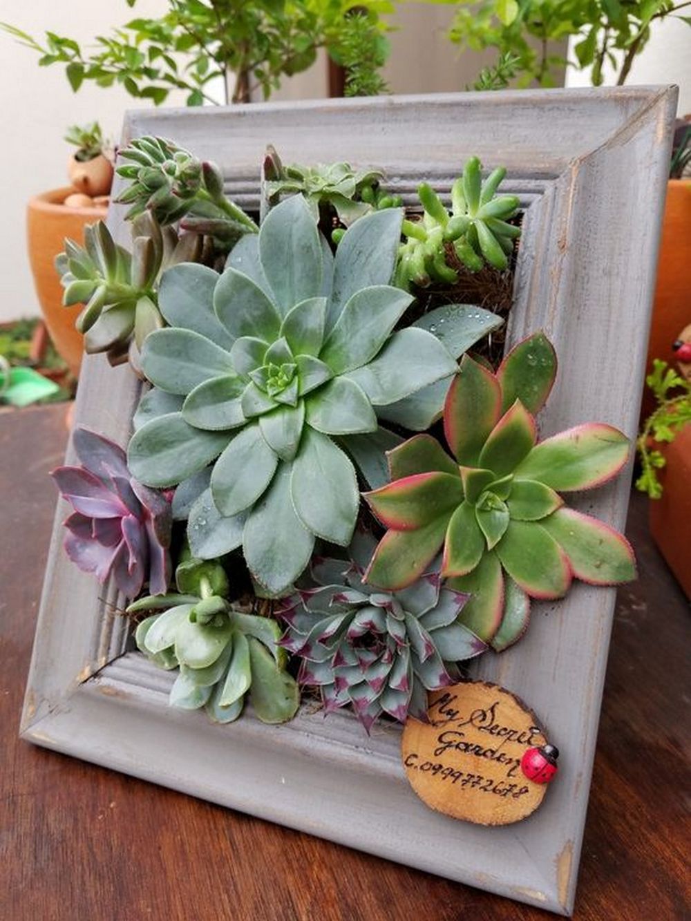 DIY Picture Frame Planter DIY projects for everyone!