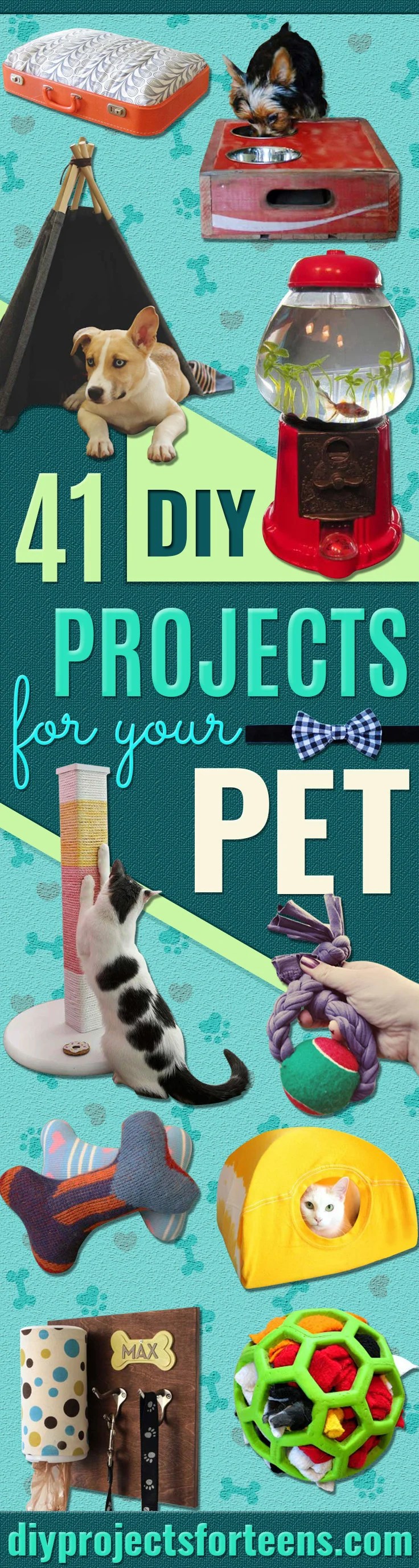 41 Crafty DIY Projects for Your Pet