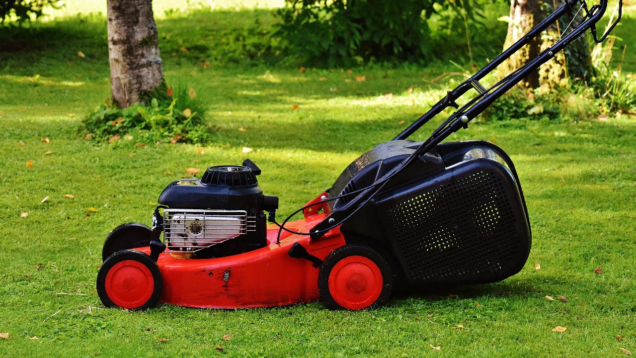 How to Cut Tall Grass With a Riding Mower Effective Ways (2022)