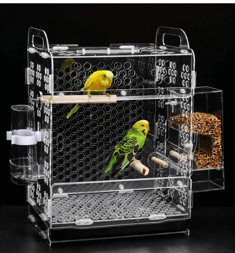 How to Build an Acrylic Bird Cage Expert Guide for You (2024)