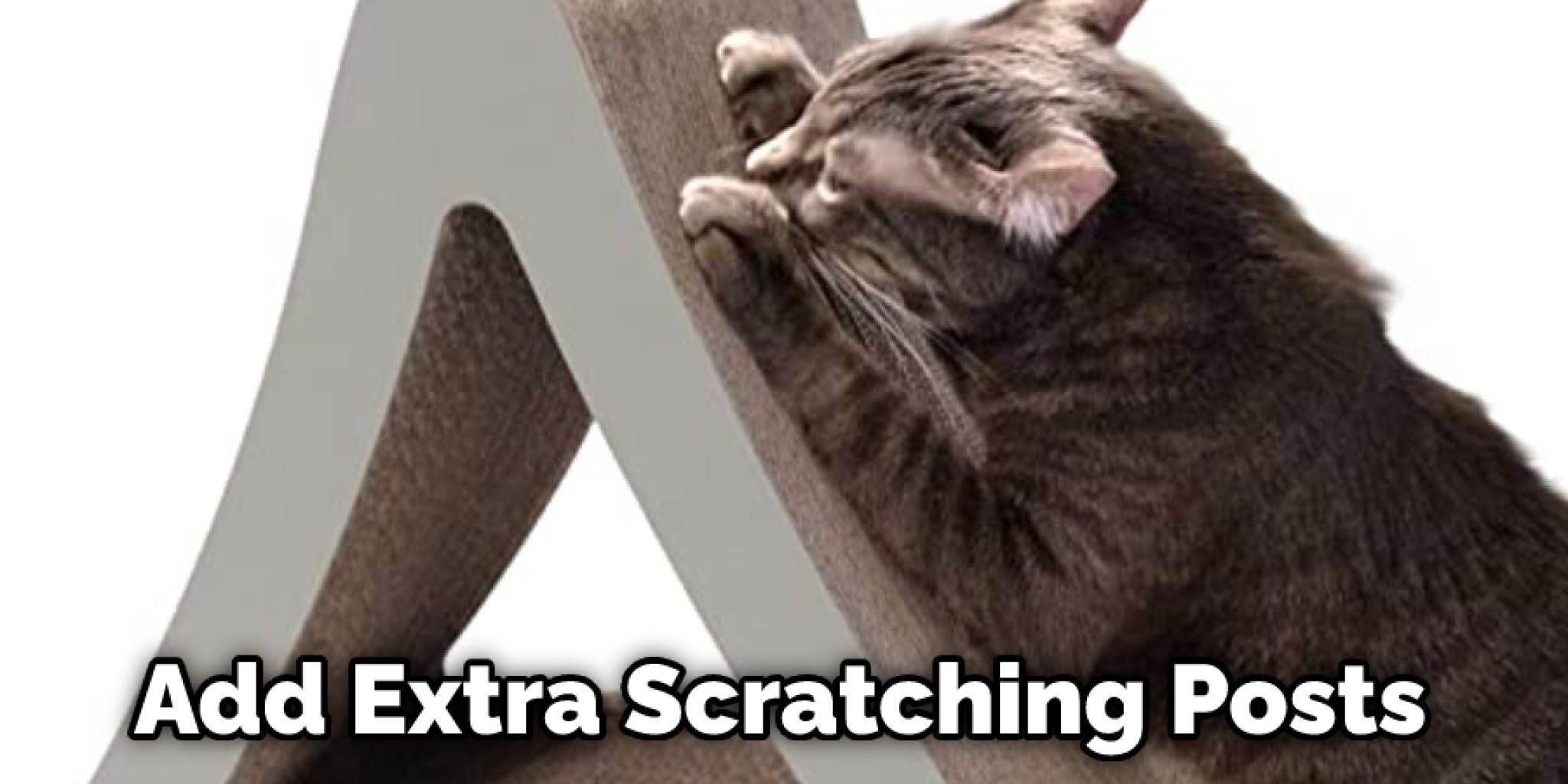 How to Stop Cats From Scratching Door Frames Quick Solution (2024)