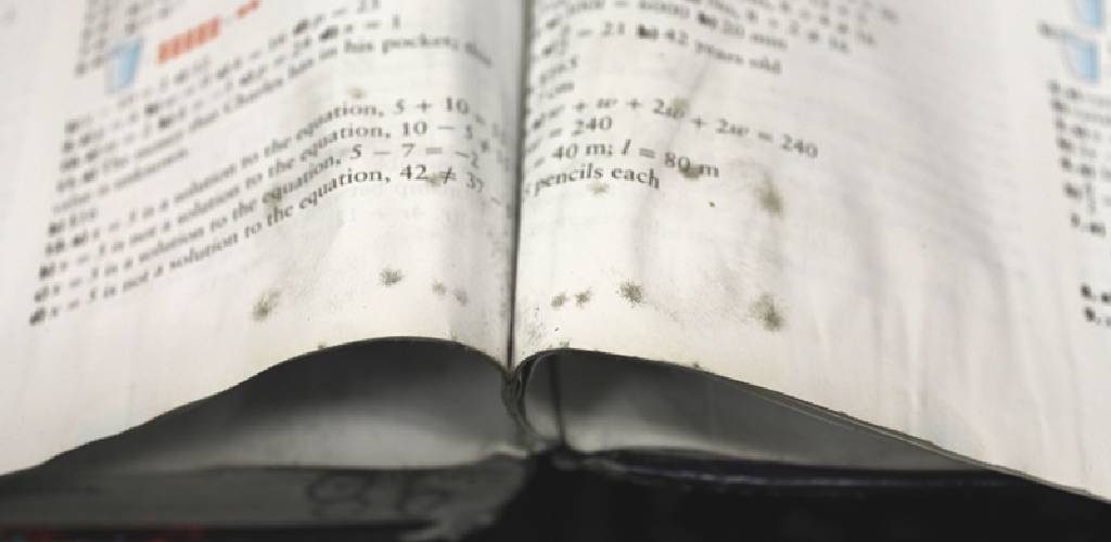 How Do I Separate Paper That Is Stuck Together 10 Easy Ways (2024)