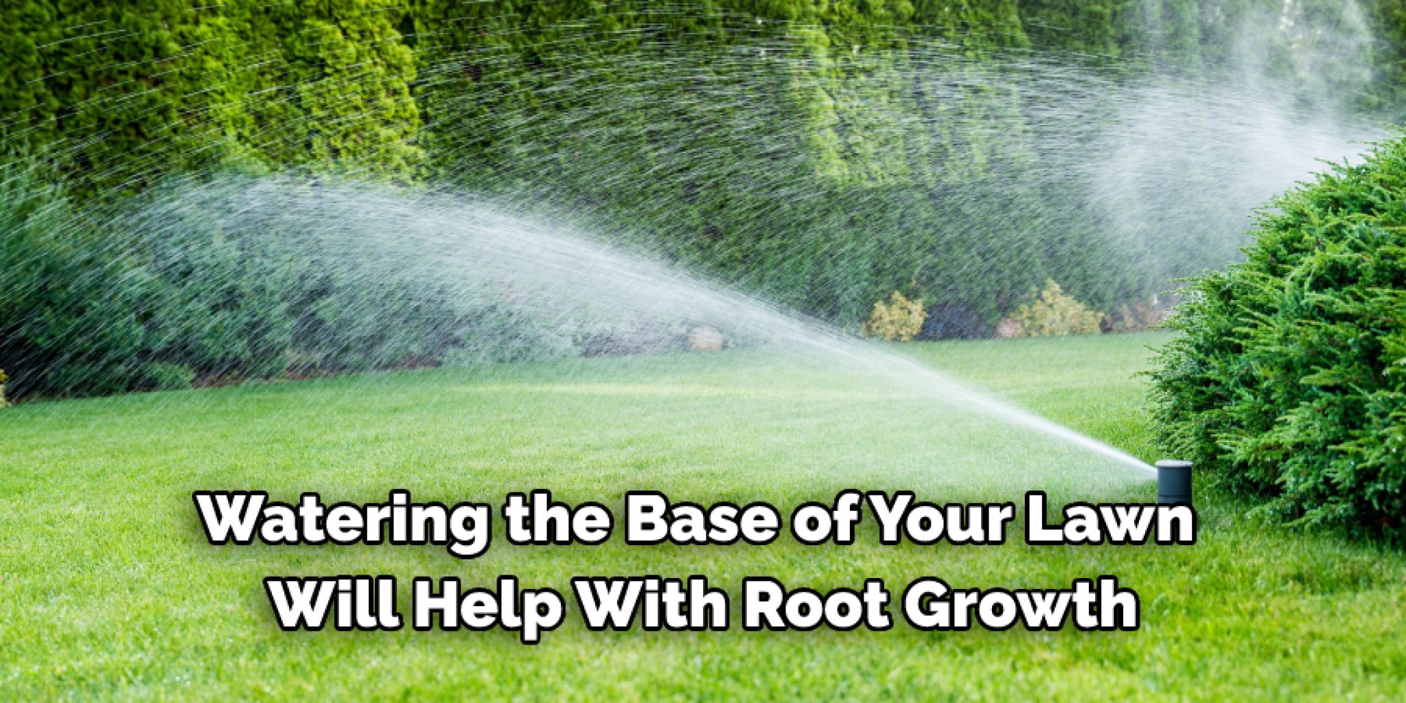 How to Keep Lawn Green With Less Water Top 10 Guide for You