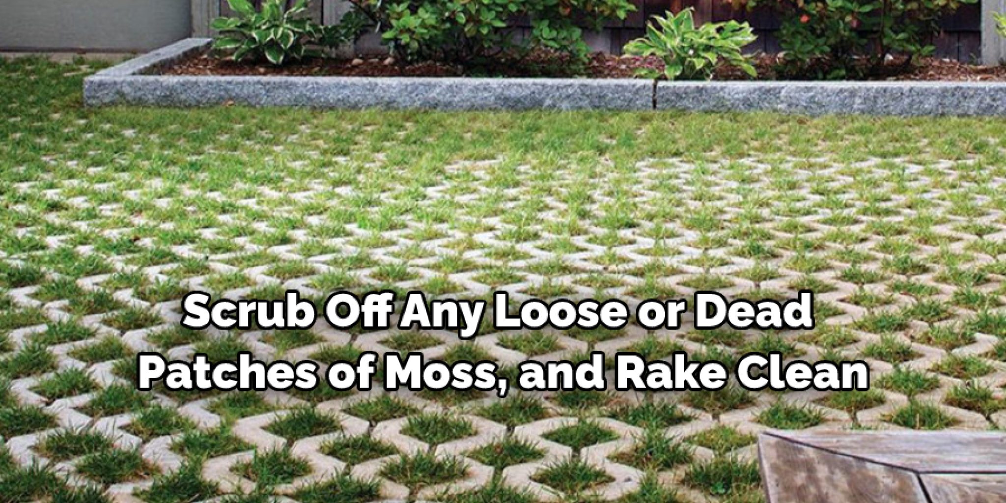 How to Grow Moss Between Pavers 10 Methods (2024)