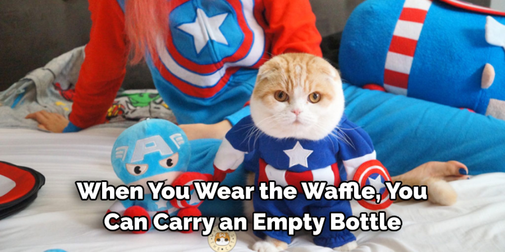 How to Make a Waffle Costume 5 Steps Simplified Solutions (2024)