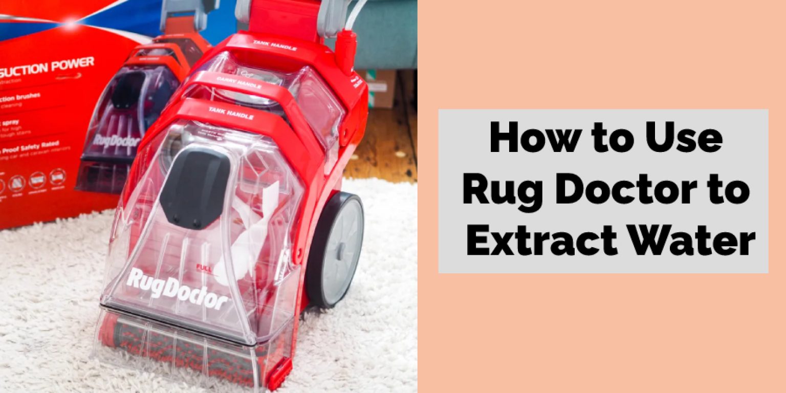 How to Use Rug Doctor to Extract Water 10 Fabulous Ideas (2024)