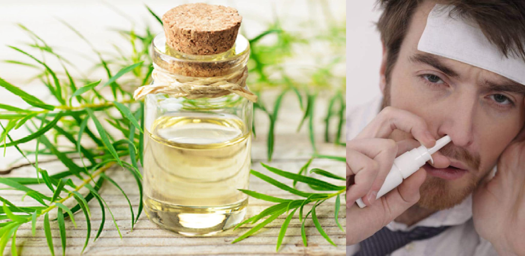 How to Use Tea Tree Oil for Nasal Polyps 4 Effective Methods (2024)