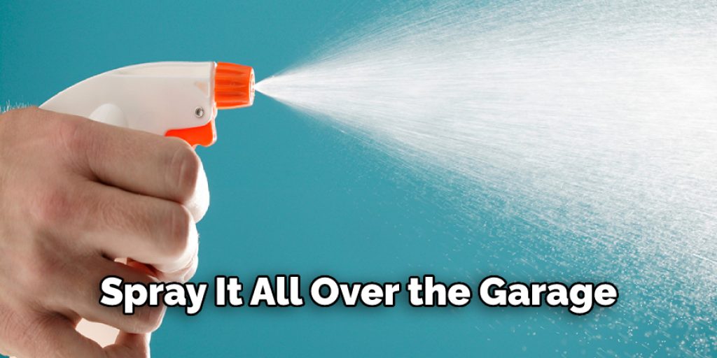 How to Keep Bugs and Spiders Out of Garage Detailed Guide (2024)