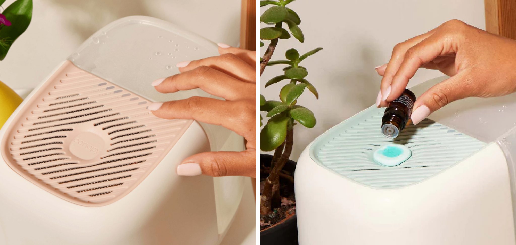 How to Clean Canopy Humidifier Explained in 7 Steps (2024)