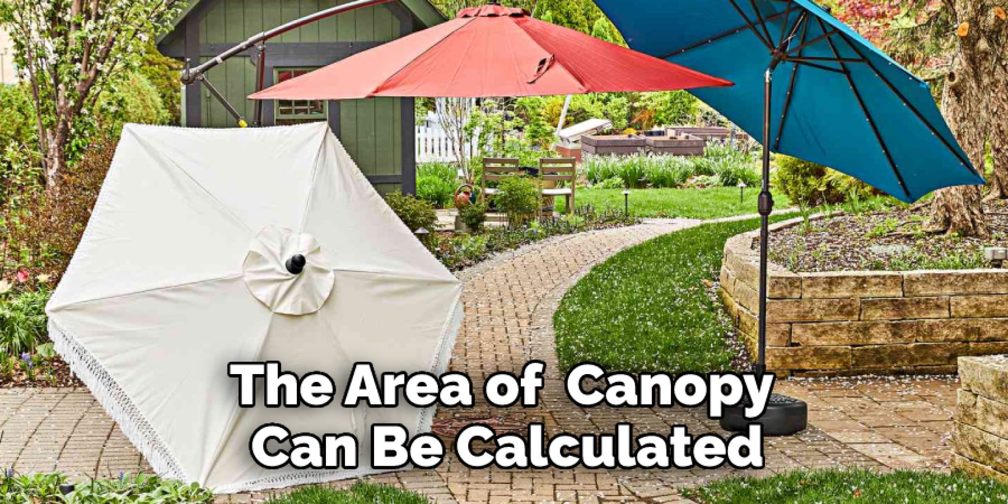 How to Measure Umbrella Canopy 6 Easy Steps (2024)