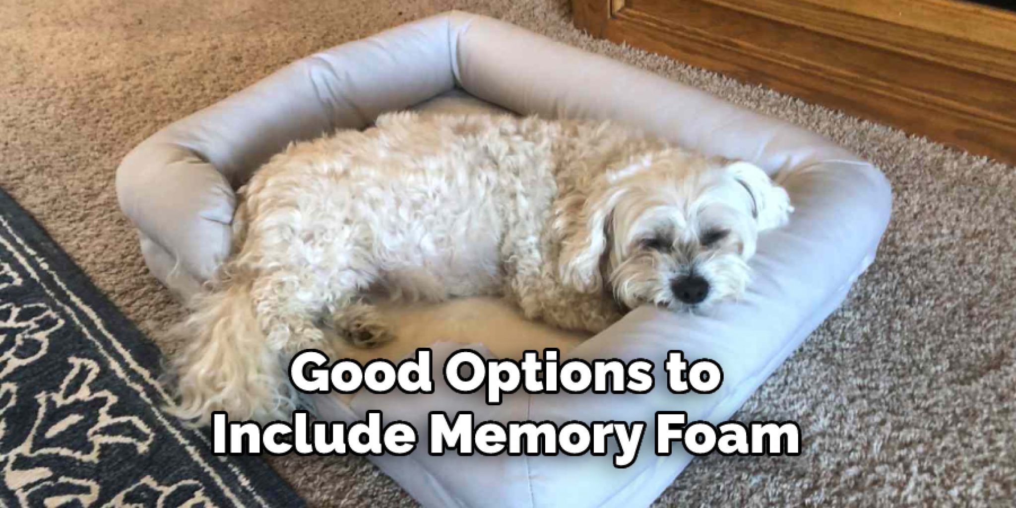 How to Sew a Dog Bed 10 Effective Methods (2024)