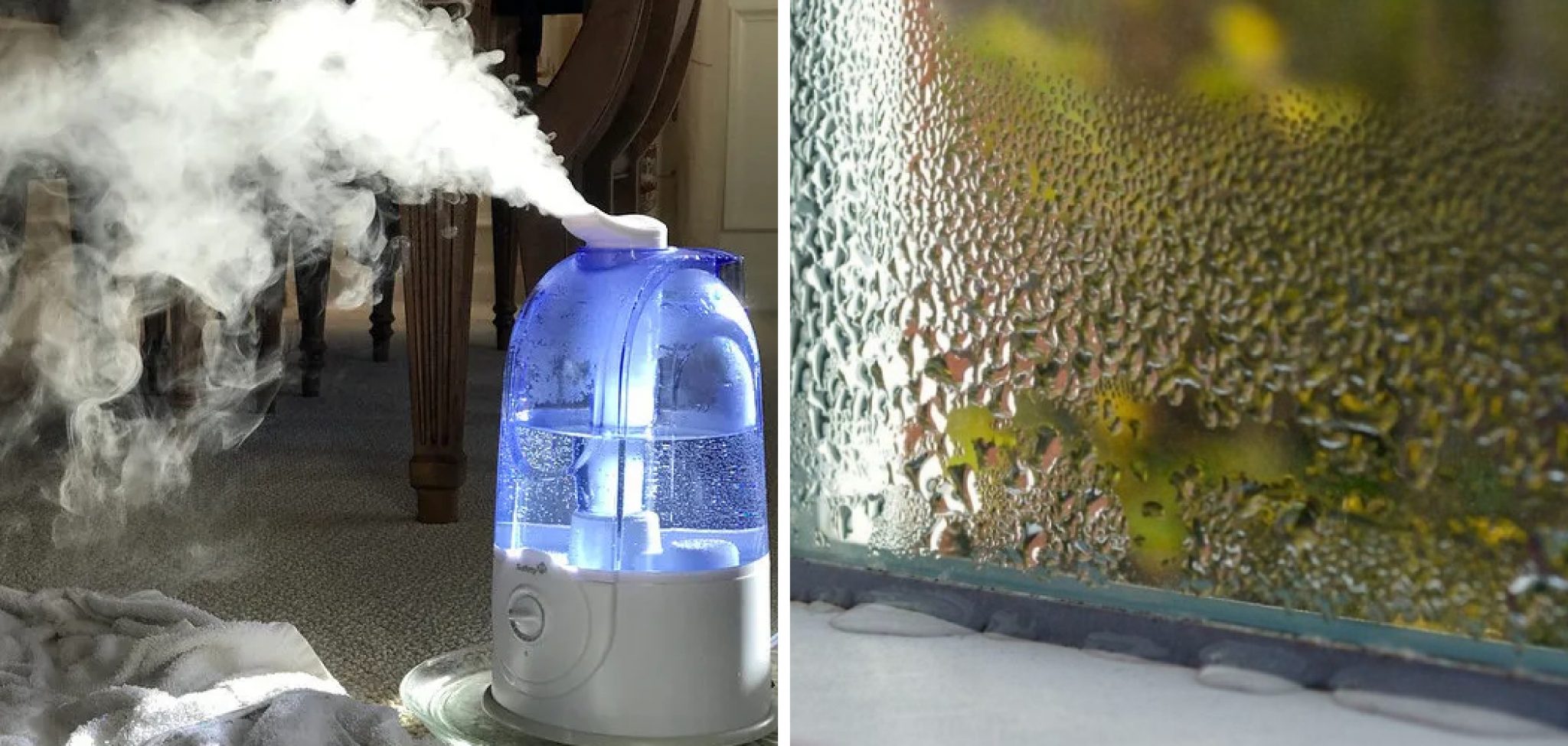 How to Reduce Humidity in House in Winter 10 Easy Methods (2024)