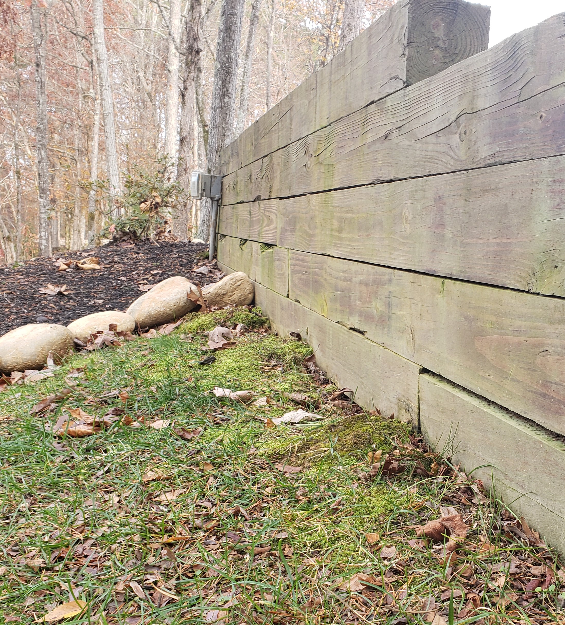 Wood Retaining Wall Choosing the Right Wood DIY Retaining Wall