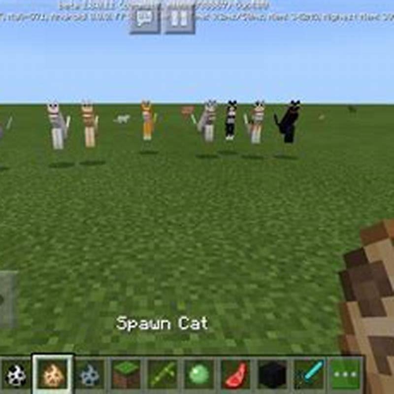 What is the easiest way to tame a cat in Minecraft? DIY Seattle