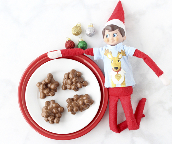 Easy Reindeer Poop Recipe! (Just 3 Ingredients) DIY Thrill