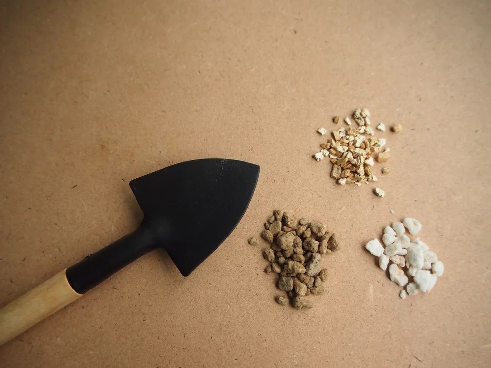 8 DIY Natural Root Growth Enhancers for Your Plants