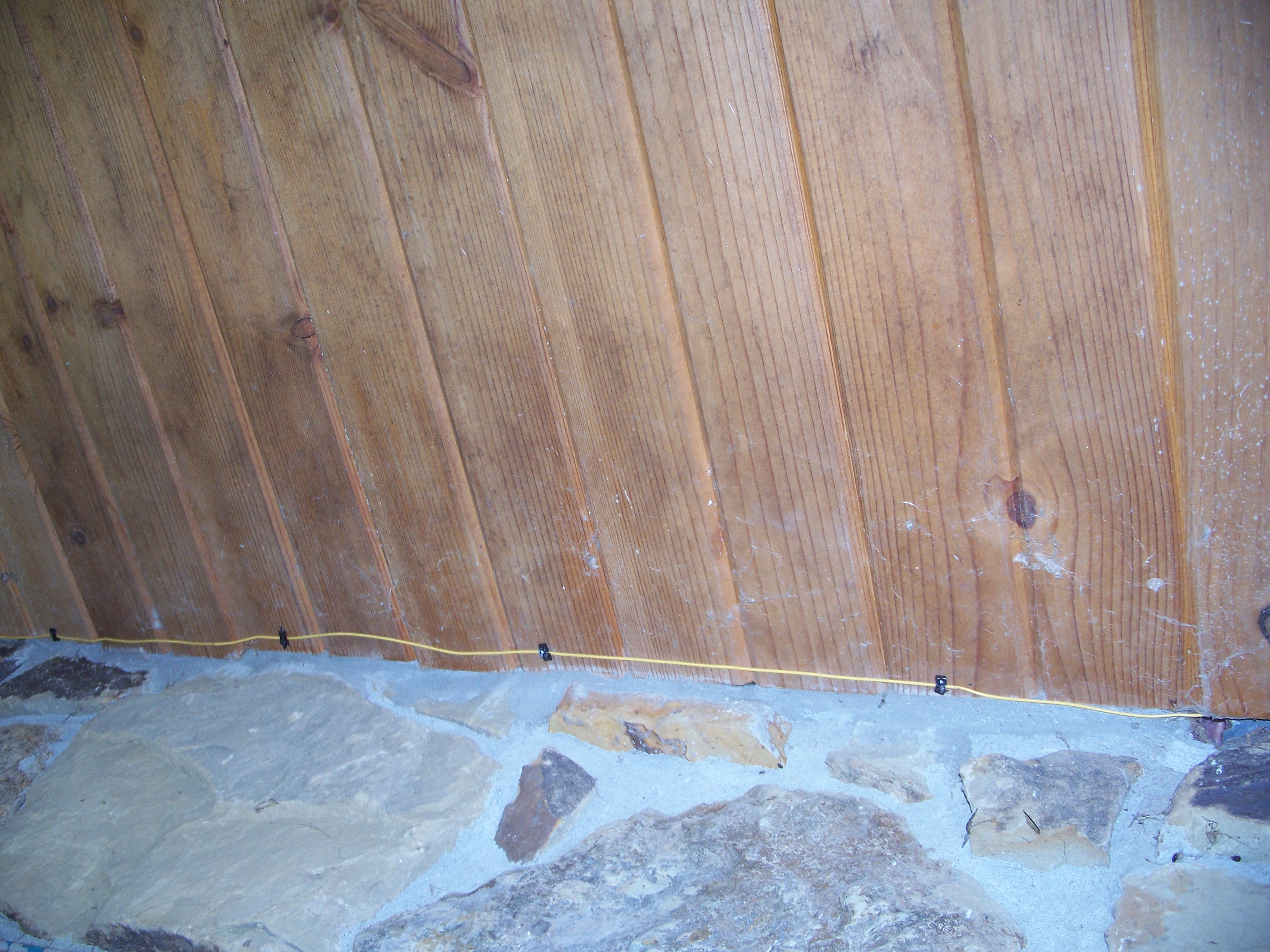 Invisible Fence DIY with Kathy!