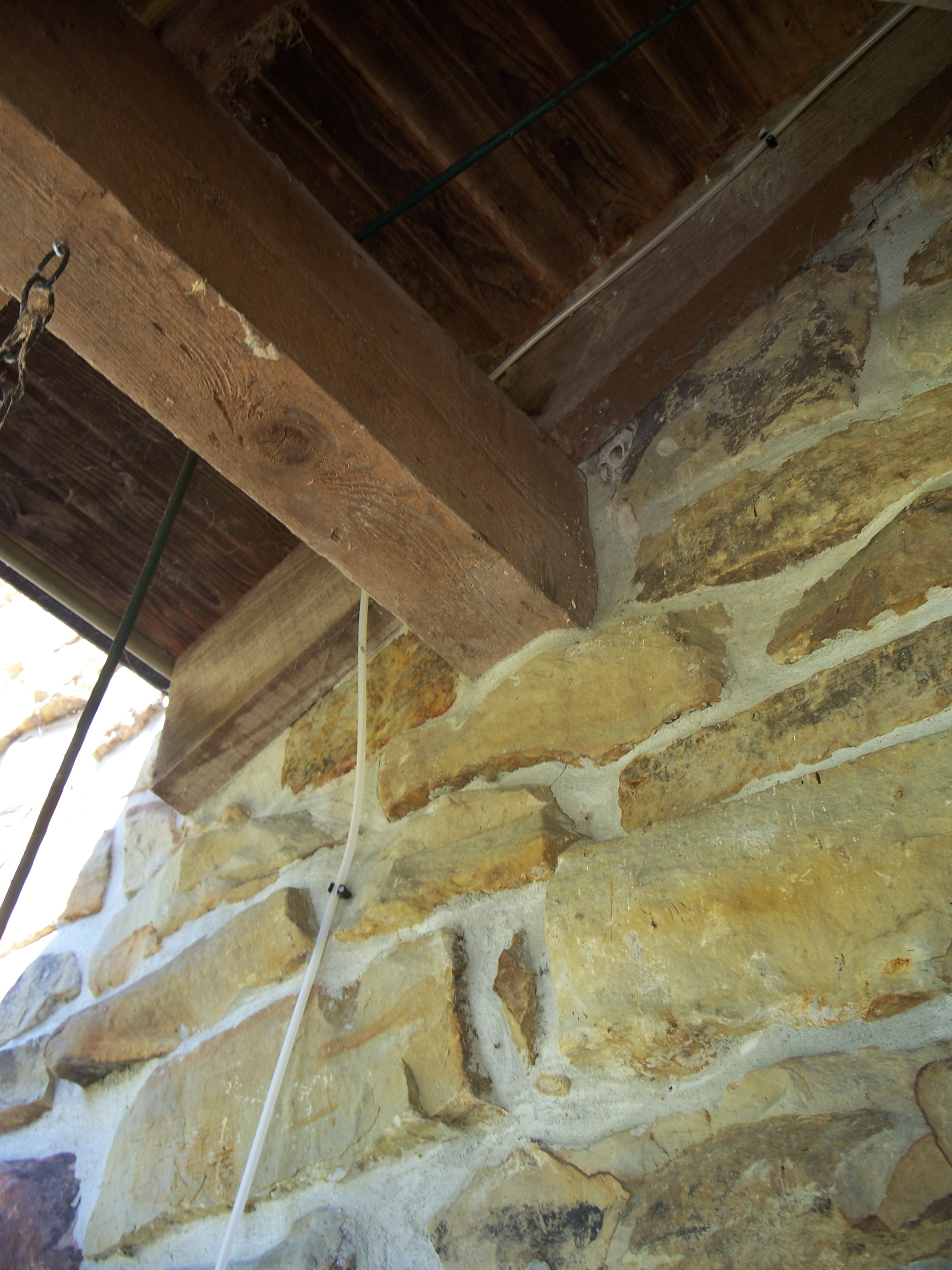 Invisible Fence DIY with Kathy!