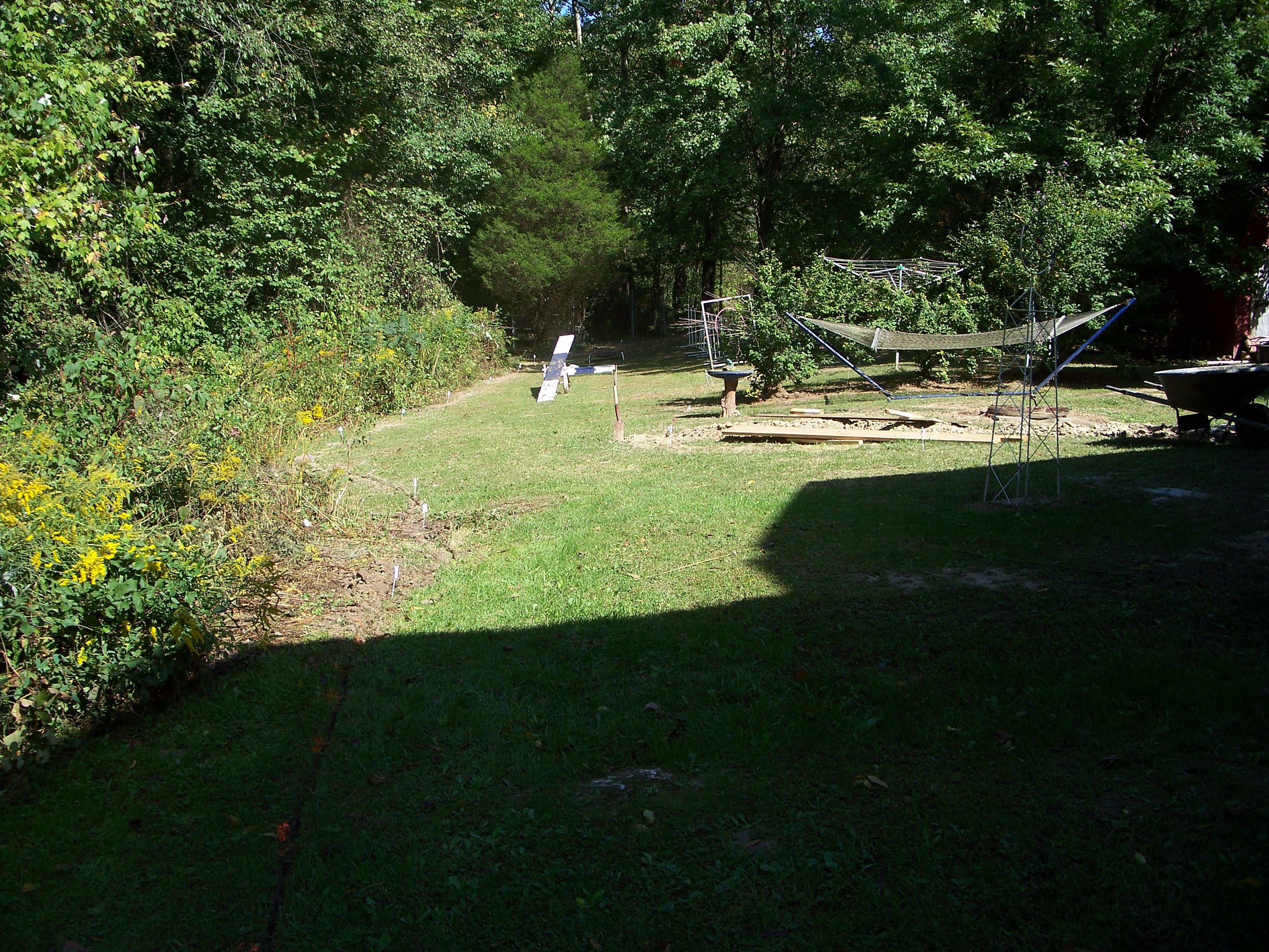 Invisible Fence DIY with Kathy!