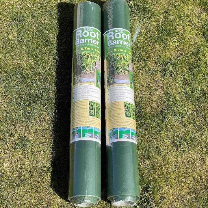 How To Plant Bamboo Running Variety Installation