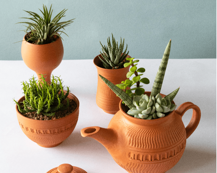Revamp Your Garden with Terracotta Pots Why You Should Buy Them Now