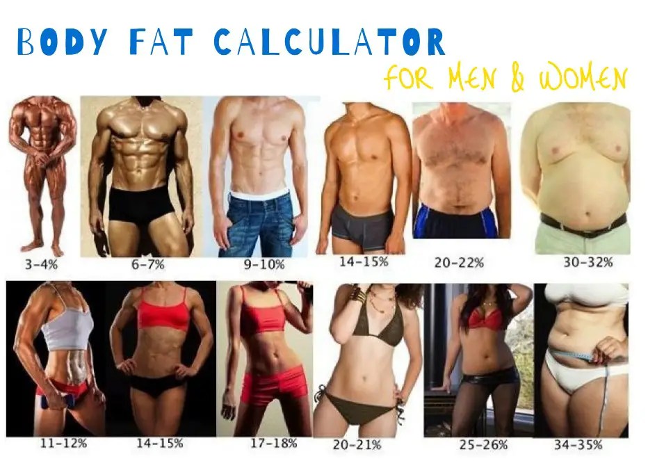 Body Fat Calculator For Men And Women - Dizwa