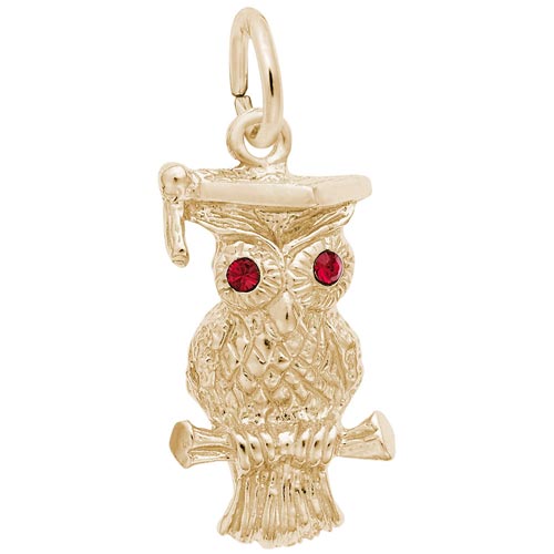 14k Gold Graduation Owl Charm by Rembrandt Charms