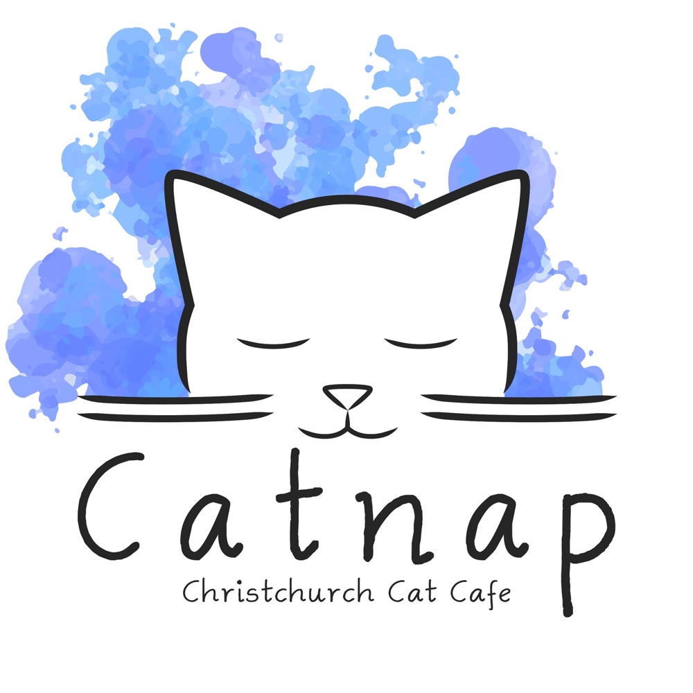 Catnap Café in Christchurch, New Zealand Meow Around