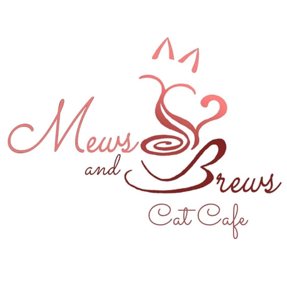 Mews & Brews Cat Cafe in Glendale, Arizona Meow Around