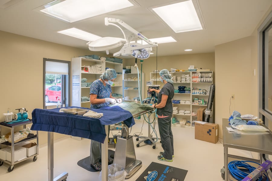 Whitney Vet Clinic D. Joseph Construction