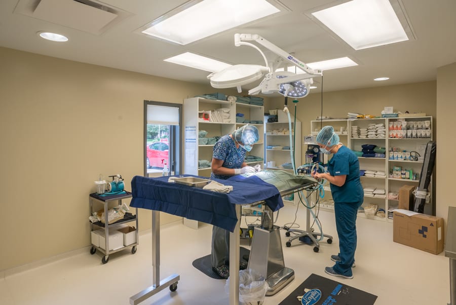 Whitney Vet Clinic D. Joseph Construction