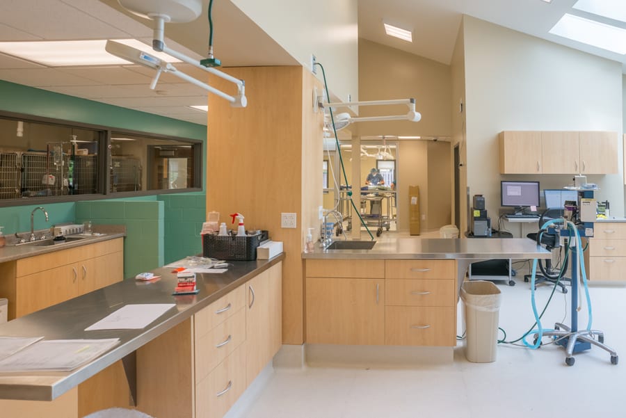 Whitney Vet Clinic D. Joseph Construction