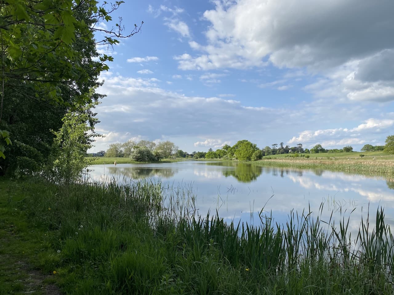 Kempsey Common and Croome Park » Two Dogs and an Awning