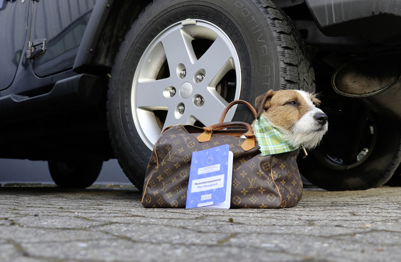 Auslandsreise mit dem Hund Deutsche Jagdzeitung