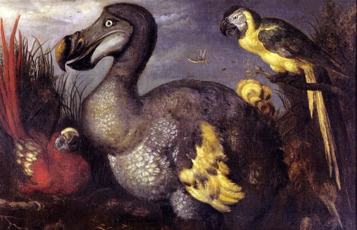 ثمانية حيوانات منقرضة يخطط العلماء لإعادتها إلى الوجود دخلك بتعرف؟