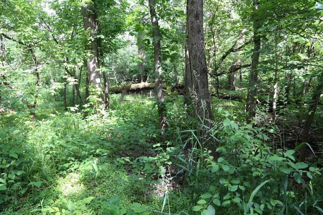 DeKalb County Tours Forest Preserves and Parks DeKalb Public Library