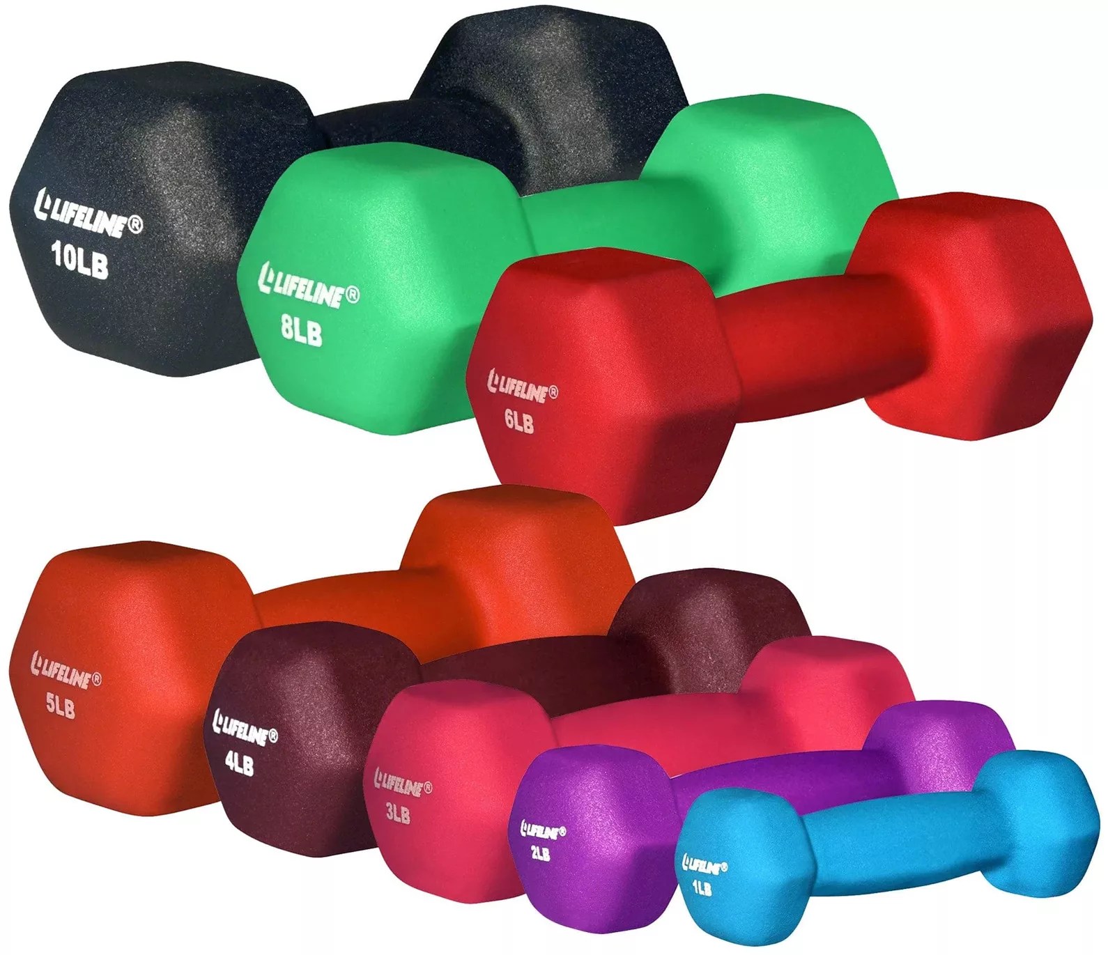 Dick's Sporting Goods Lifeline 10lb Hex Neoprene Dumbbell Hamilton Place