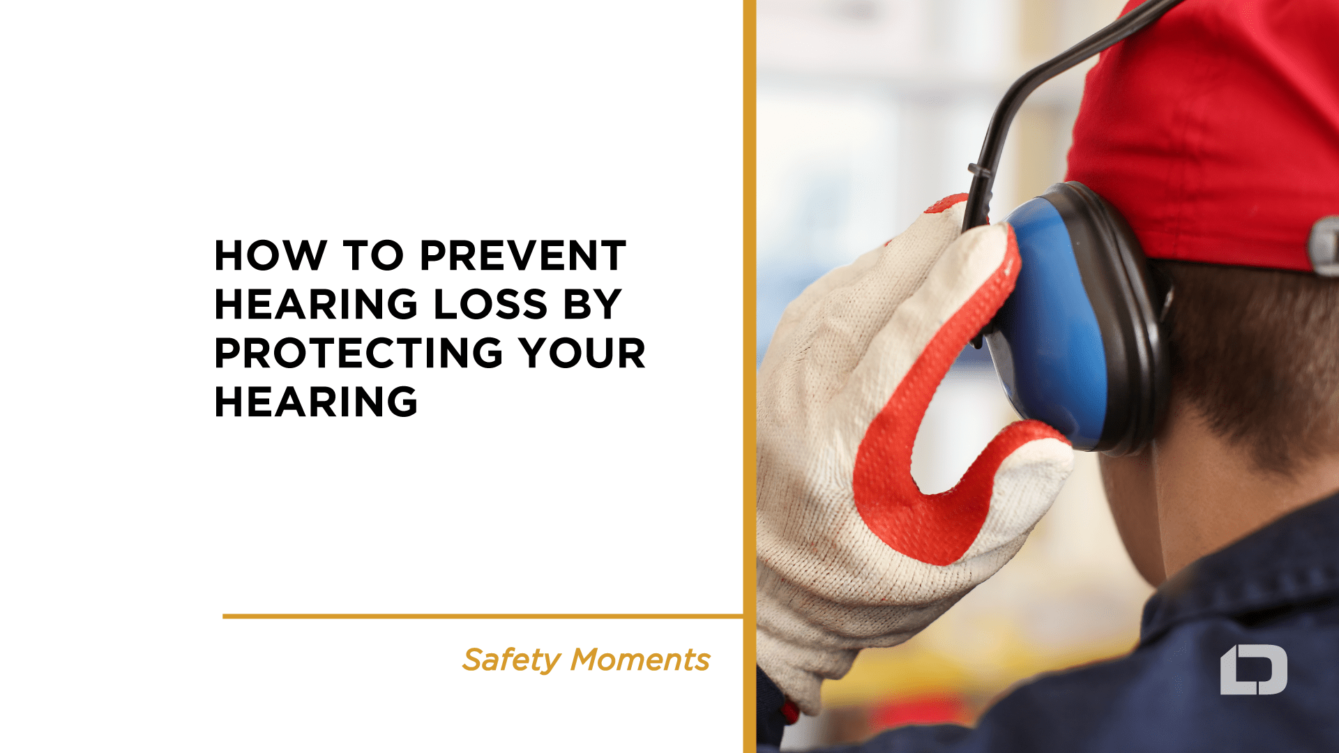 Safety Moment Hearing Protection