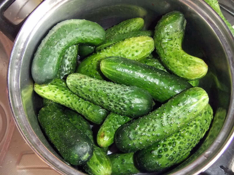 Скільки солі на літр води для малосольних огірків