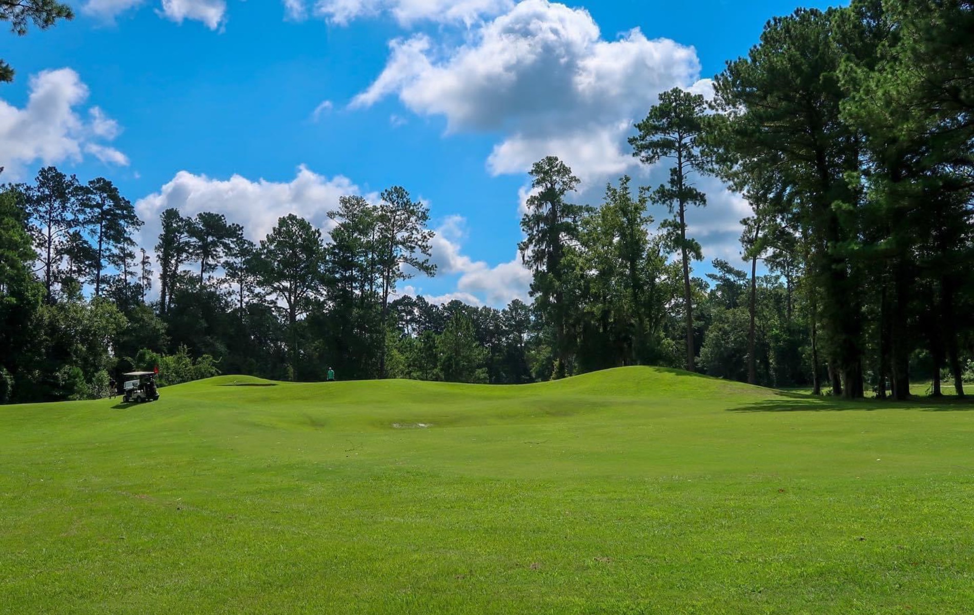 Facility Flint River Municipal Golf Course
