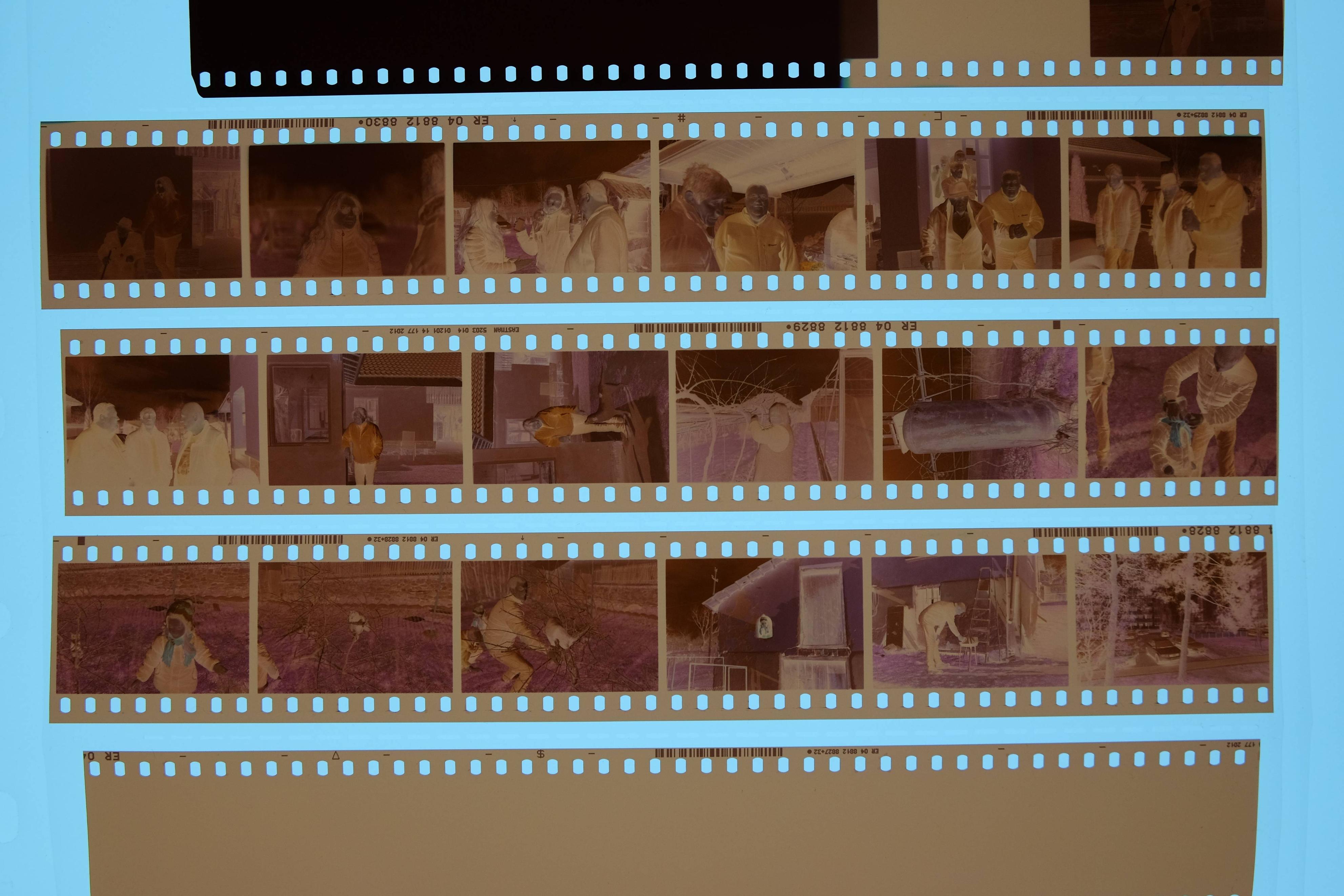 Macammacam roll film dan fungsinya (update dari sharing pengalaman