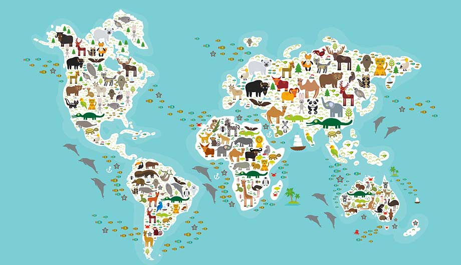 Distribution of plants and animals