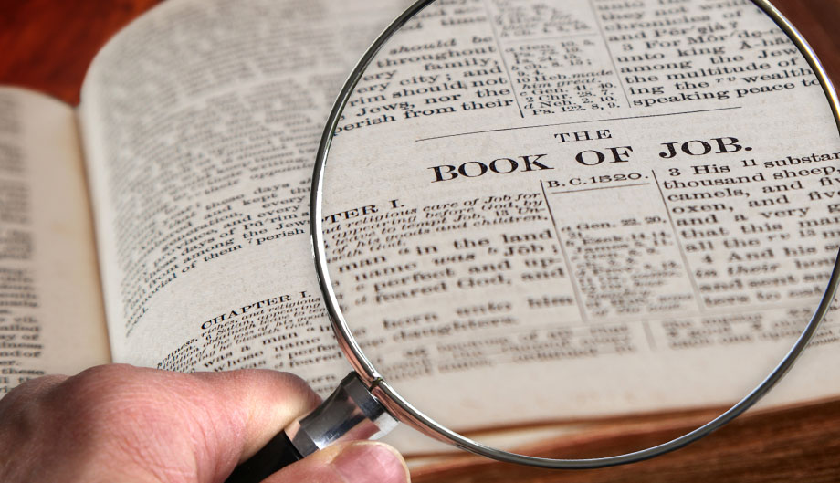 A reply to Ben Stanhope on Job’s behemoth