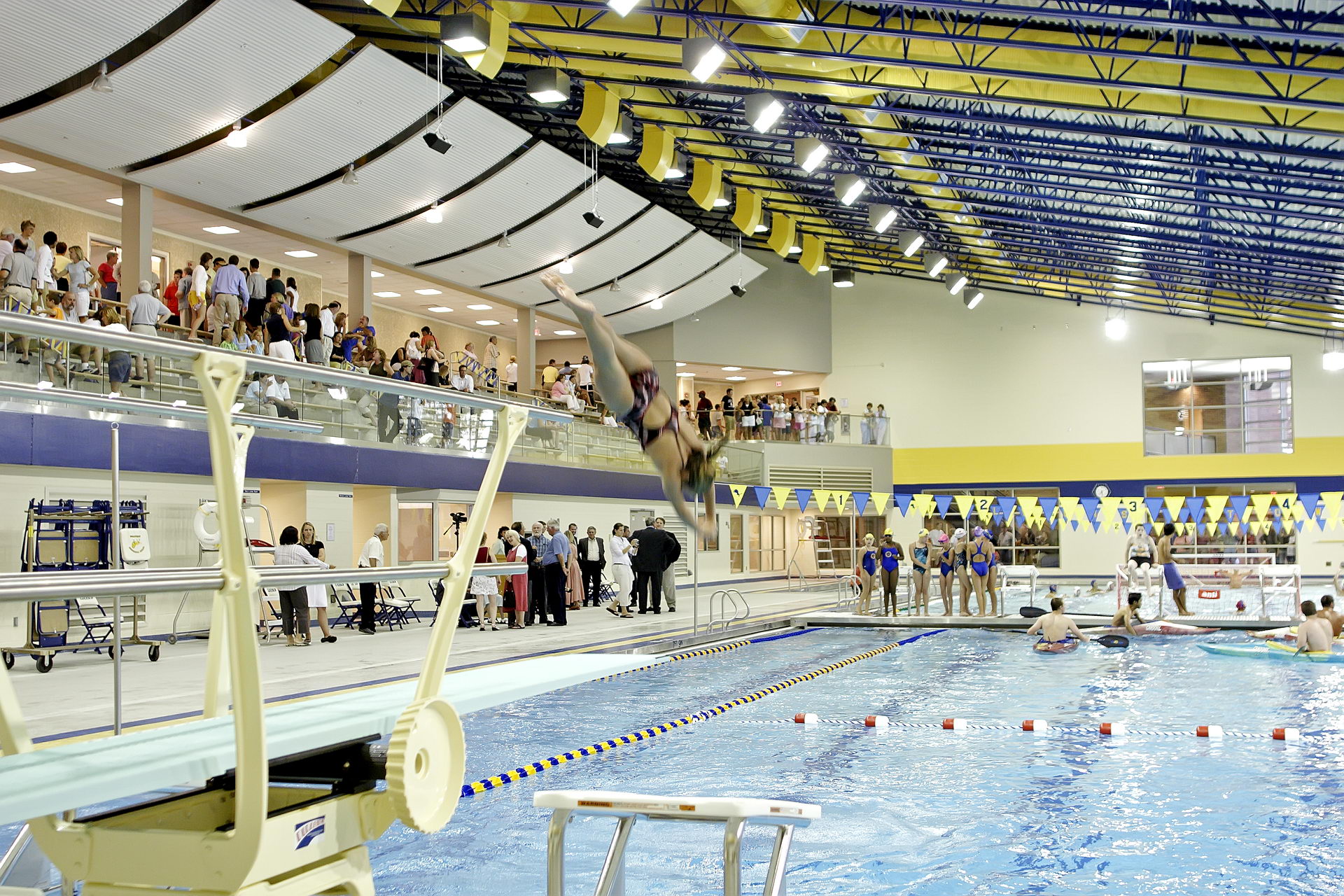 Swimming in Style DLA Architects