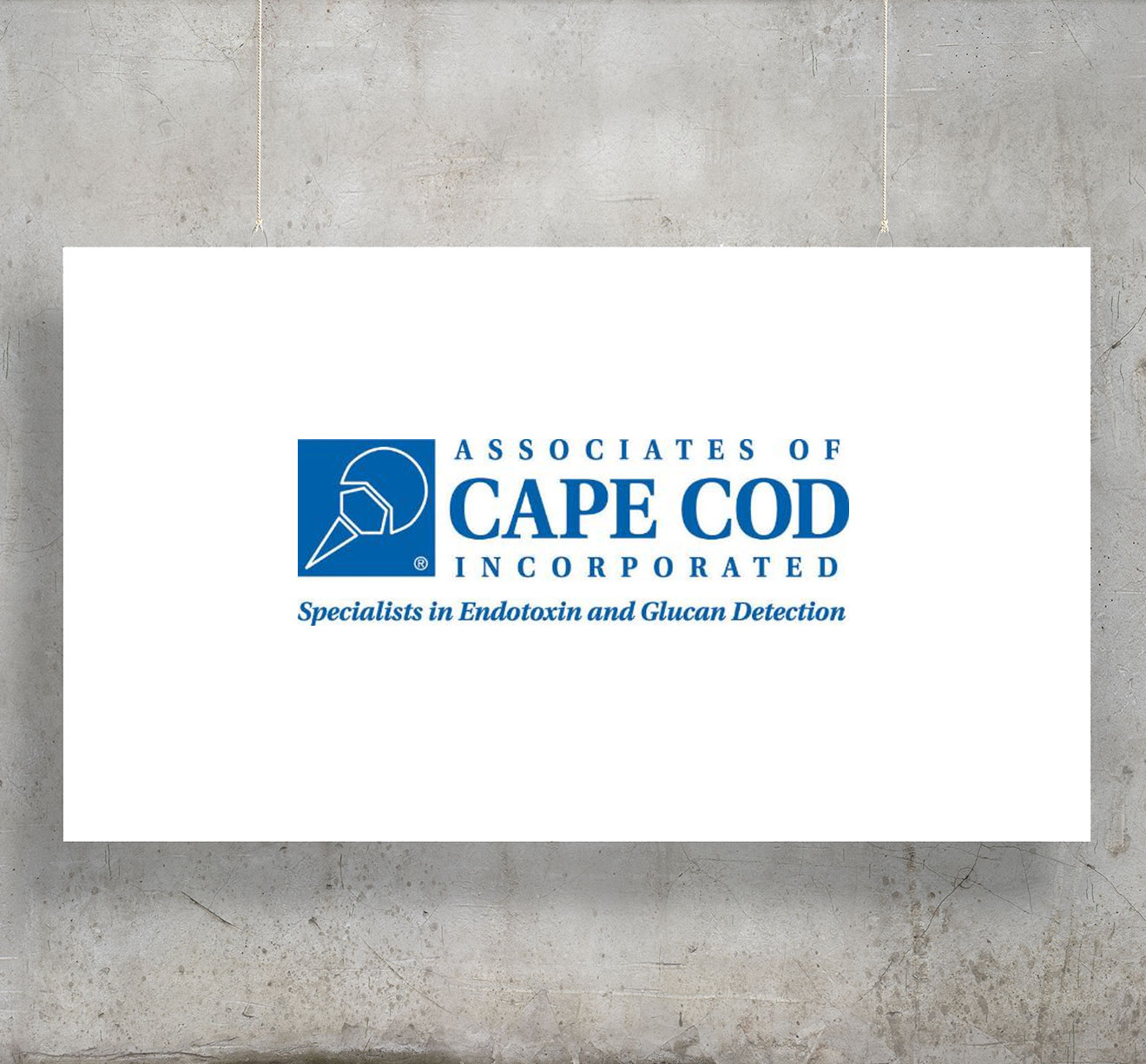 Associates of Cape Cod, Inc. European Pharmaceutical Review