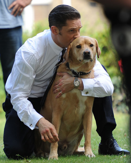 Dlisted Open Post Hosted By Tom Hardy And A Dog Friend